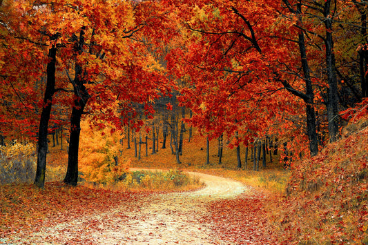 Top 5 Fall Promotional Products to Boost Your Brand Visibility